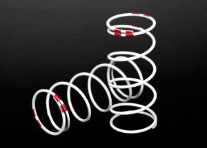 7445 1/10 Long GTR Springs (0.810-Rate Pink Stripe) (2) | The RC Shop at Dr Dans