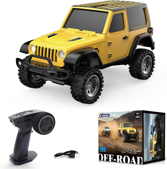 JIABAILE 1/36 4WD Mini RC Rock Crawler RTR