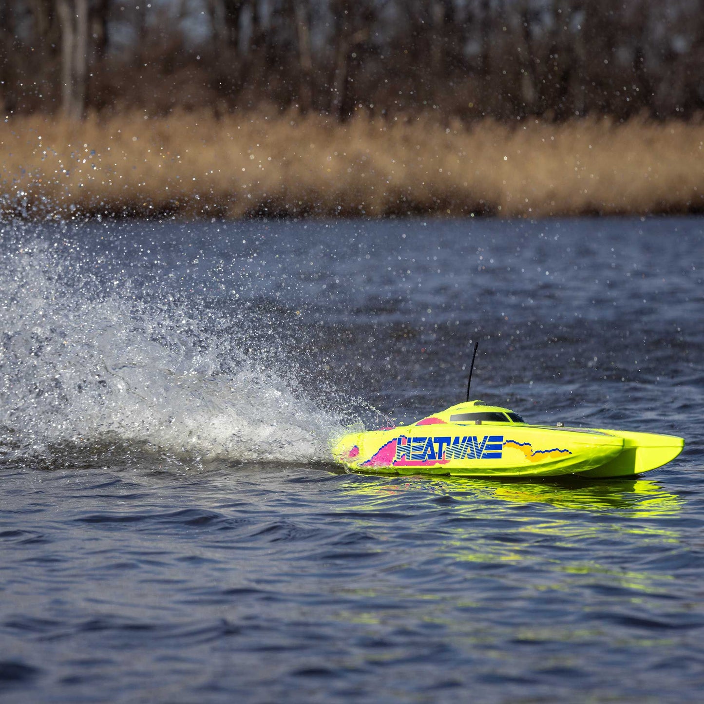 PRB08049T1      Blackjack 24" V2 Catamaran Brushless: RTR, Heat Wave Visual      | The RC Shop at Dr Dans