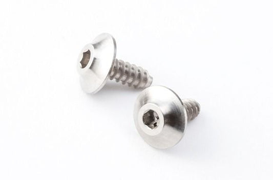 HS-TS01     REVE D 8810 STYLE SPM Titanium M2?5mm Tapping Screw ( 2pcs.)   | The RC Shop at Dr Dans