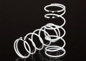 7444    1/10 Long GTR Springs (0.767-Rate Black Stripe) (2)   | The RC Shop at Dr Dans