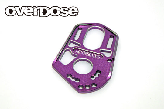 HIGH MOUNT MOTOR PLATE (FOR OD2877) GALM THE RC SHOP